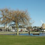 8 Best Places and Things To Do in Oak Harbor, Washington SONY DSC